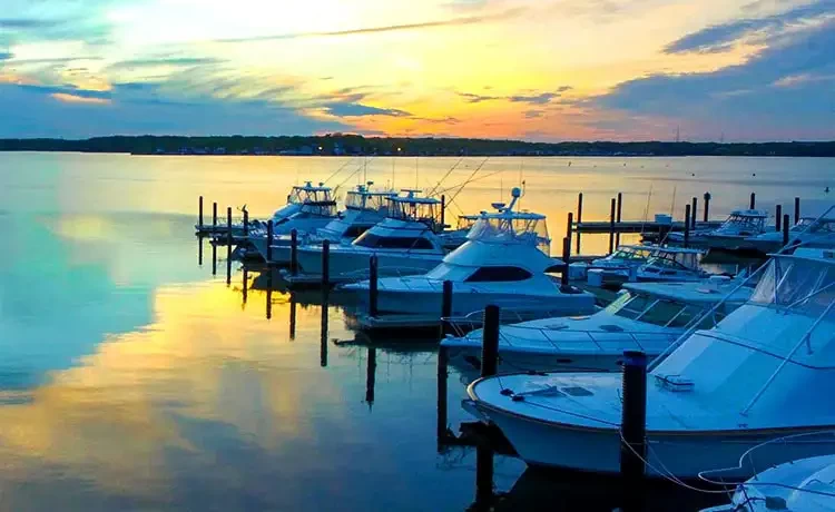 Tour du lịch Vũng Tàu trong ngày