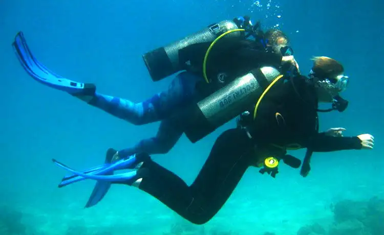 tour du lich lặn biển ngắm san hô hòn mun nha trang 1 ngày tour du lich lặn biển ngắm san hô hòn mun nha trang 1 ngày