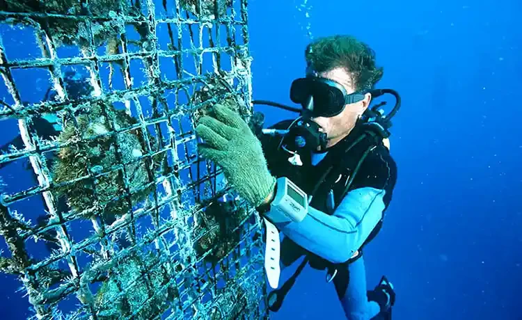 Tour Cáp treo Hòn Thơm - Công viên Nước - Tham quan Nam đảo Phú Quốc 1 ngày