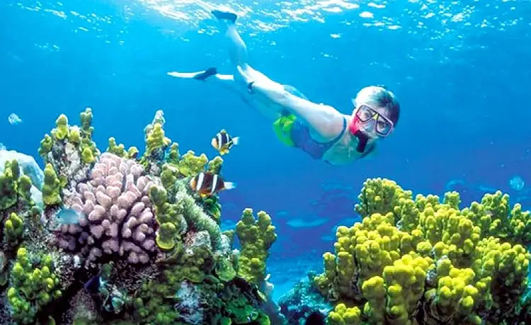 tour câu cá lặn ngắm san hô nam đảo phú quốc trong ngày