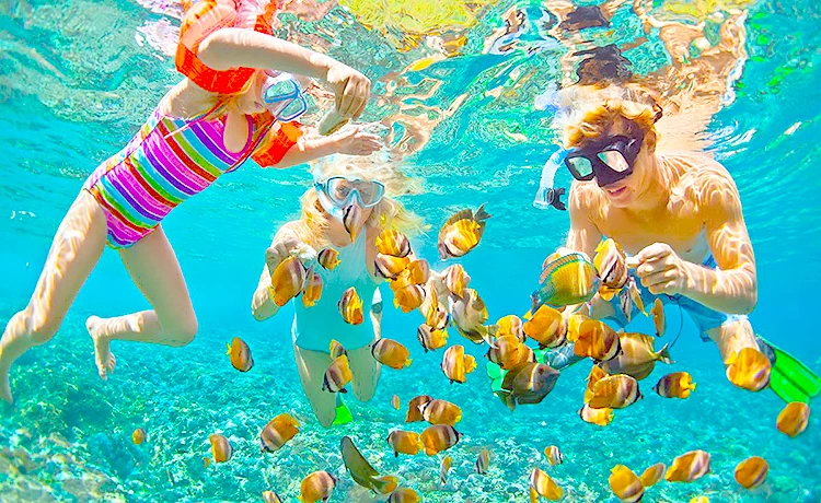 Tour 3 đảo Phú Quốc trong ngày Câu cá - Lặn ngắm san hô