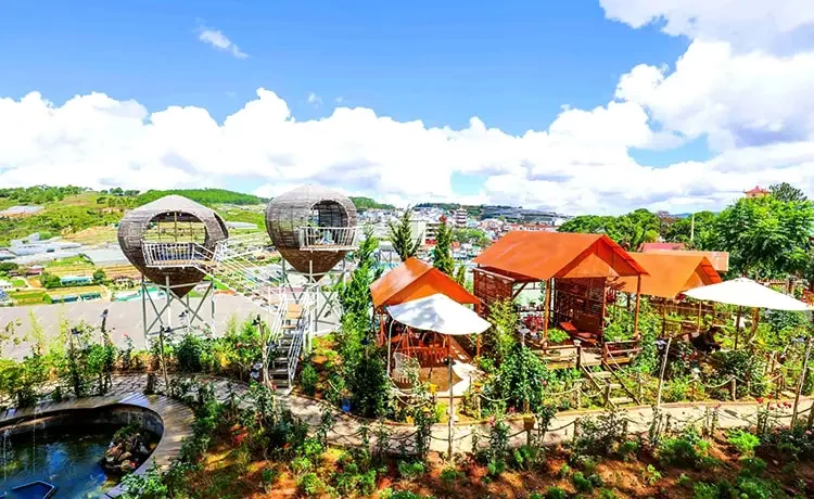 Tour Săn mây Đà Lạt trong ngày