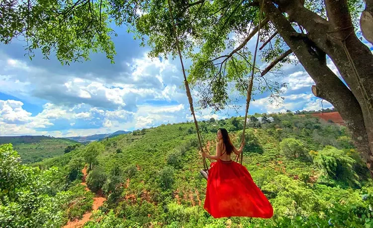 Tour Săn mây Đà Lạt trong ngày