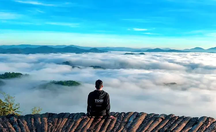 Tour Săn mây Đà Lạt trong ngày