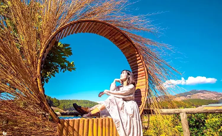 Tour tham quan Đồi chè Cầu Đất Farm Đà Lạt trong ngày Tour tham quan Đồi chè Cầu Đất Farm Đà Lạt trong ngày