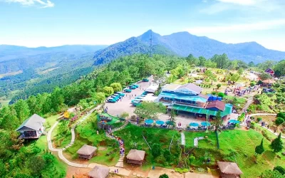 Tour tham quan Vườn dâu Đà Lạt trong ngày