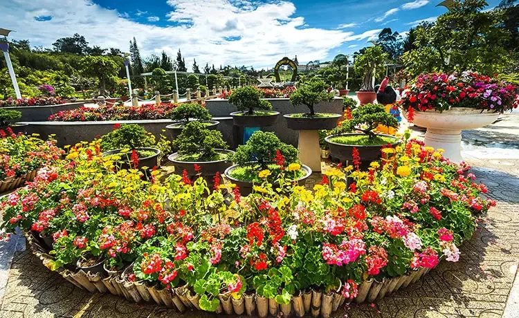 Tour tham quan Vườn dâu Đà Lạt trong ngày trọn gói ®Hitour Tour Tham Quan Vườn Dâu Đà Lạt Trong Ngày Trọn Gói ®Hitour