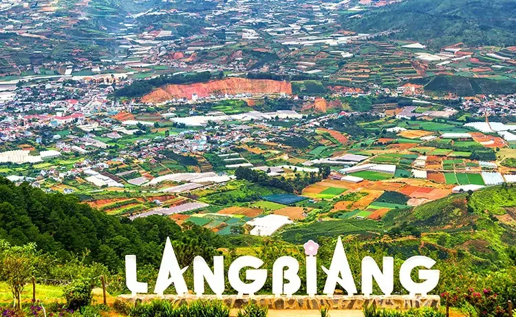 Tour tham quan Vườn dâu Đà Lạt trong ngày