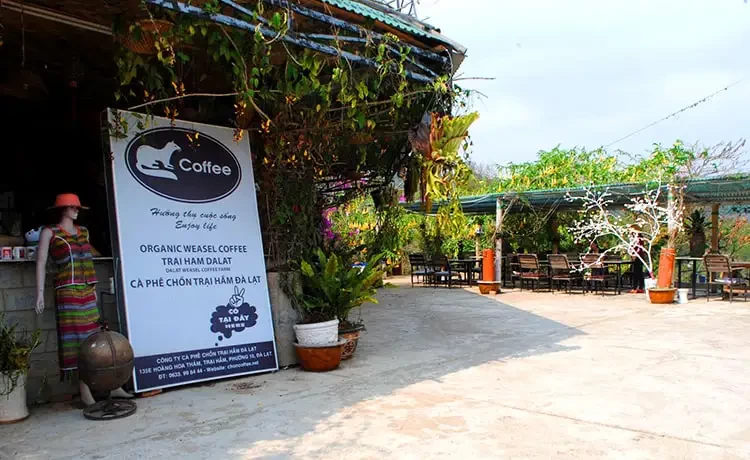 Tour tham quan Thác Voi Đà Lạt trong ngày