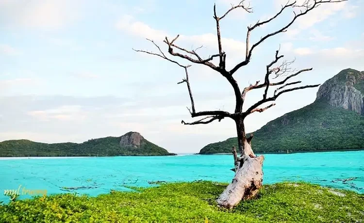 Tour du lịch Vũng Tàu - Côn Đảo 2 ngày 1 đêm bằng tàu cao tốc