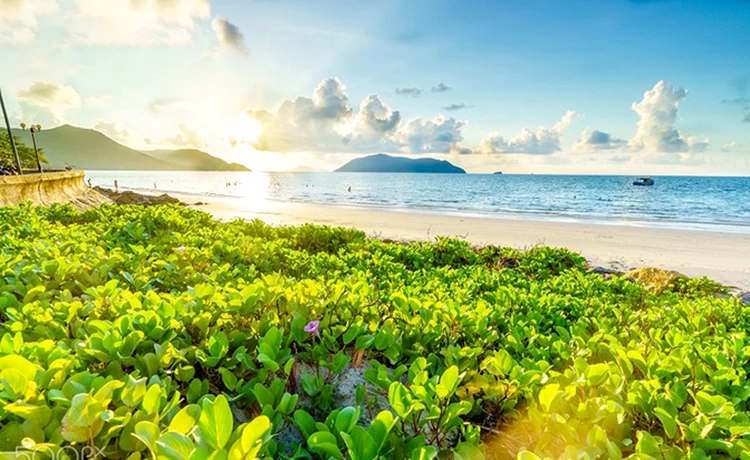 Tour du lịch Vũng Tàu - Côn Đảo 2 ngày 1 đêm thiên nhiên Tour du lịch Vũng Tàu - Côn Đảo 2 ngày 1 đêm thiên nhiên