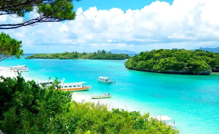 Tour du lịch Vũng Tàu - Côn Đảo 3 ngày 2 đêm thiên nhiên