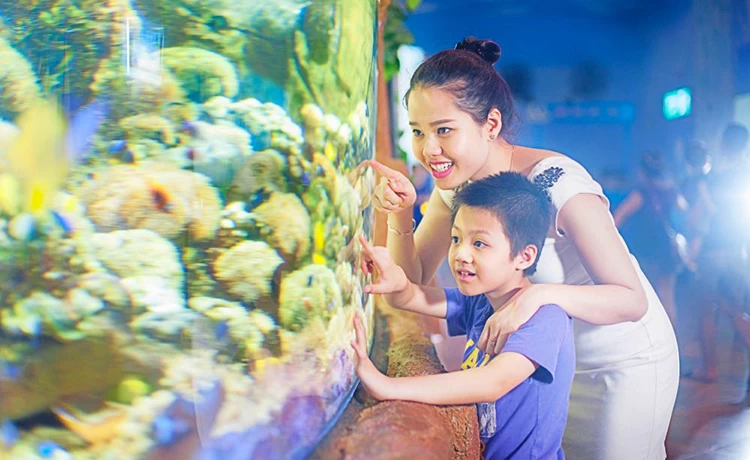 đặt vé Thủy Cung Time City (Vinpearl Aquarium)