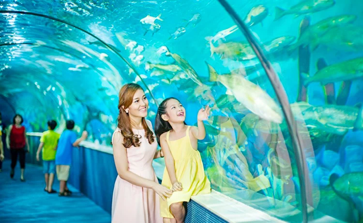 đặt vé Thủy Cung Time City (Vinpearl Aquarium)