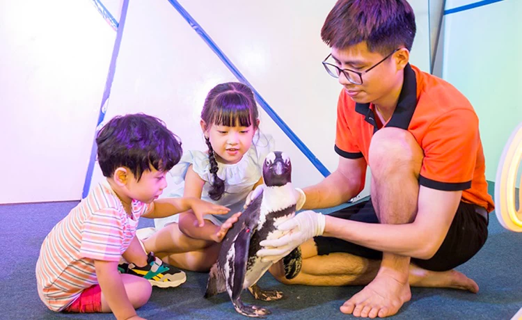 đặt vé Thủy Cung Time City (Vinpearl Aquarium)