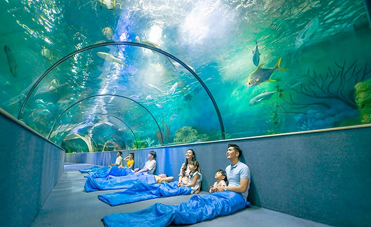 đặt vé Thủy Cung Time City (Vinpearl Aquarium)