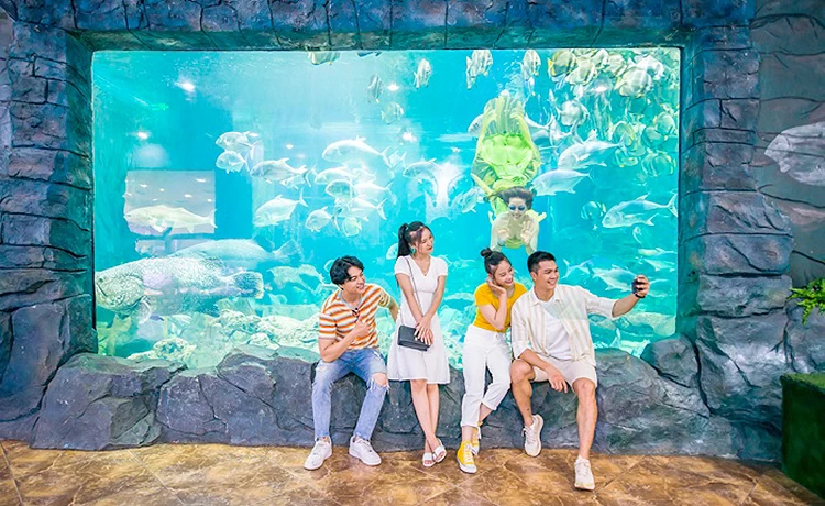 đặt vé Thủy Cung Time City (Vinpearl Aquarium)