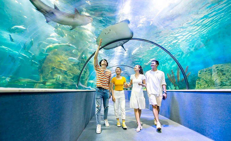 Vé Thủy Cung Time City (Vinpearl Aquarium)