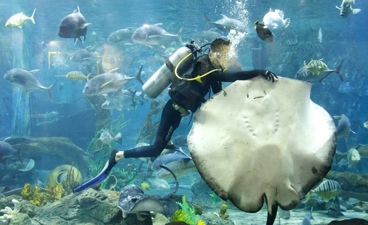 đặt vé Thủy Cung Time City (Vinpearl Aquarium)