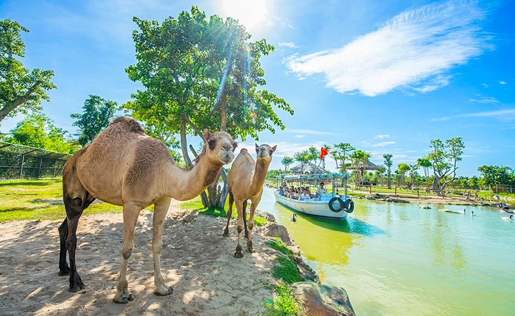 đặt vé Vinwonders Nam Hội An