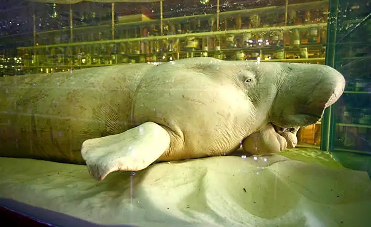 tour du lịch nha trang 4 ngày 3 đêm