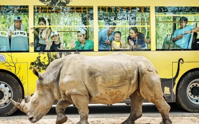 Vinpearl Safari Phú Quốc - Vườn thú hoang dã Safari đầu tiên Việt Nam