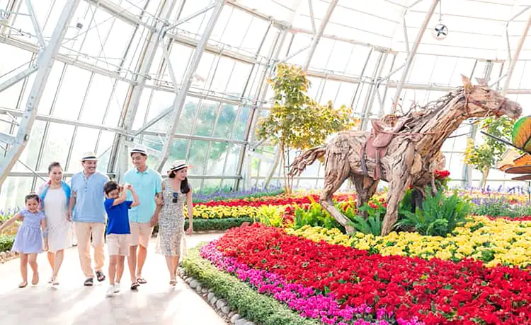 khu vui chơi vinwonders nha trang