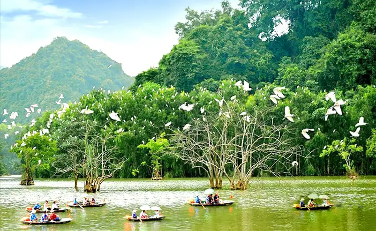 vườn chim thung nham ninh bình vườn chim thung nham ninh bình