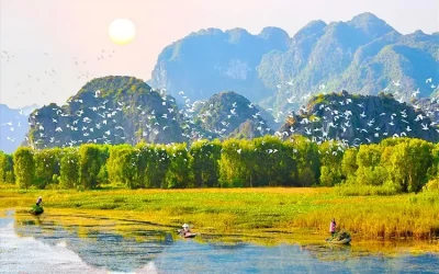 Vườn chim Thung Nham - Điểm đến Ninh Bình