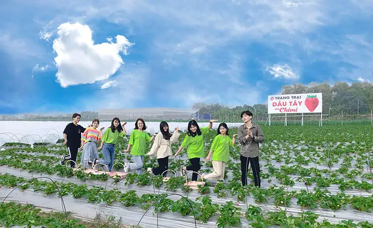 tour mai châu mộc châu 2 ngày 1 đêm tour mai châu mộc châu 2 ngày 1 đêm