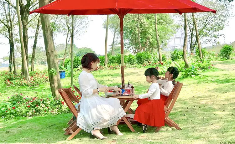 Vườn dâu Chimi Farm Mộc Châu