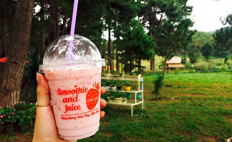 Vườn dâu Chimi Farm Mộc Châu