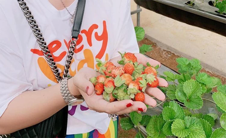 tour du lịch phú yên 4 ngày 3 đêm