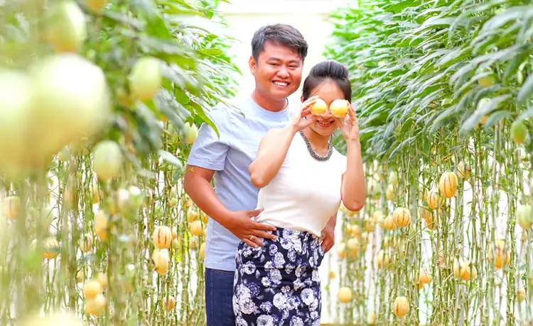 vườn dưa hấu pepino đà lạt