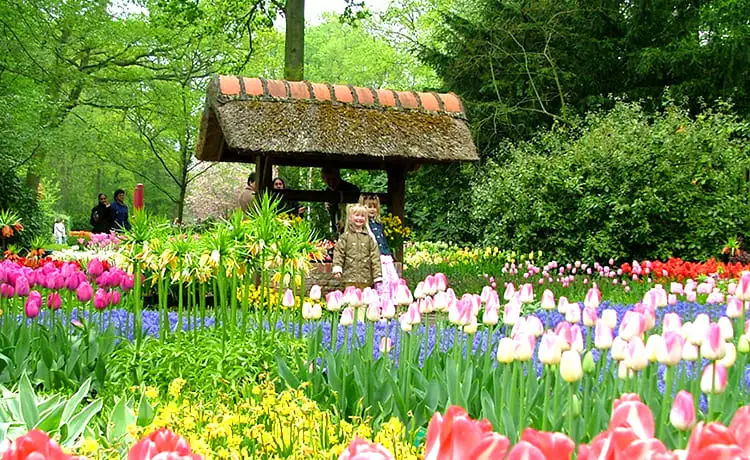 vườn hoa thành phố đà lạt