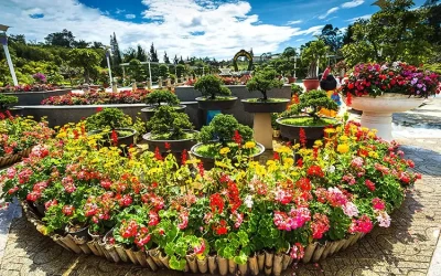 Vườn hoa thành phố Đà Lạt  - Điểm đến Đà Lạt