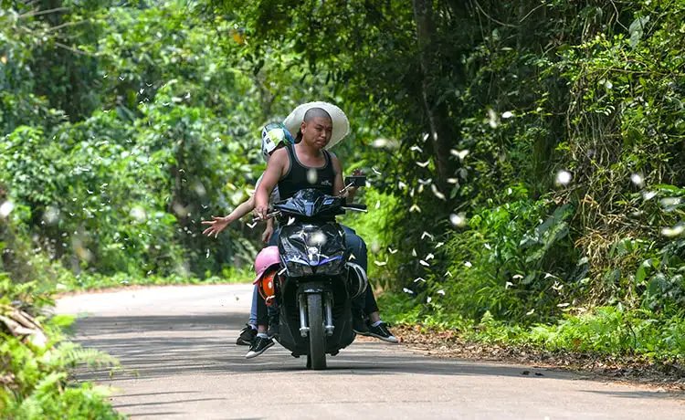 vườn quốc gia cúc phương ninh bình