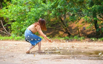 Vườn Quốc gia Cúc Phương - Điểm đến Ninh Bình