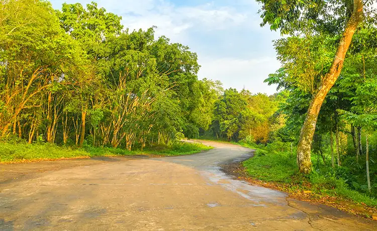 vườn quốc gia cúc phương ninh bình