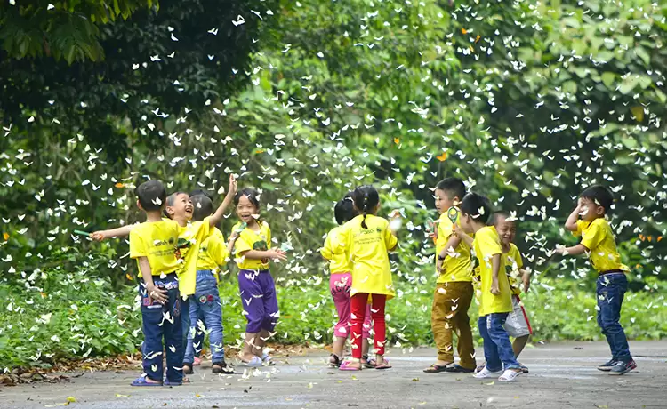 tour ninh bình 4 ngày 3 đêm tour ninh bình 4 ngày 3 đêm