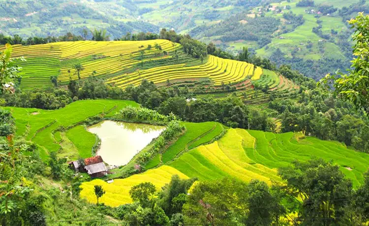 xín mần hà giang xín mần hà giang