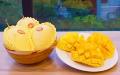 Xoài Cao Lãnh - Đặc sản Đồng Tháp